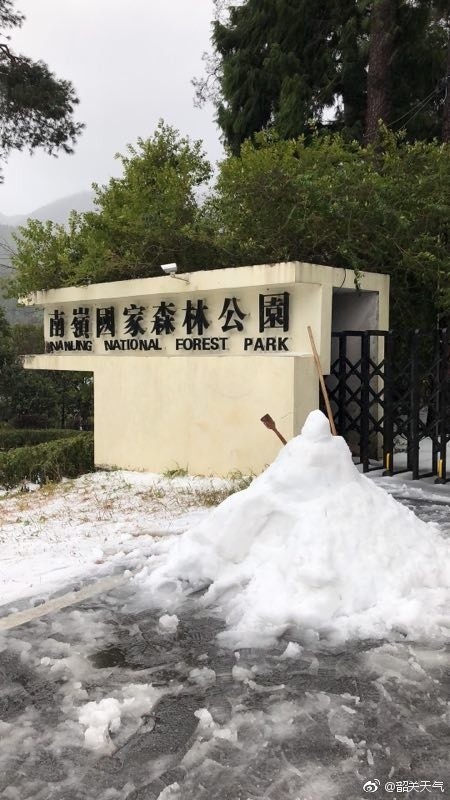 广东求雪成功！韶关国家森林公园迎来今年冬季广东的第一场雪