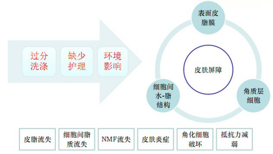 SENJADE森芝玑致力于敏感肌精准护肤