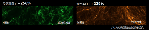 FILORGA菲洛嘉焕龄时光眼霜全新上市