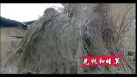 《瑶山飞狐》宣传片