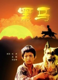 黑马（1989）