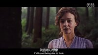 《far away from the madding crowd 远离尘嚣 中文预告片》冰冰字幕组双语听译