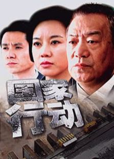 国家行动（2009版）