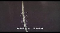 这是“优昙婆罗花”？