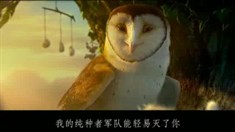 中文片段之My Beak