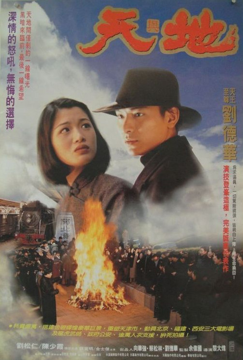 天与地（1994） 高清海报