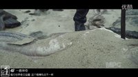 【一鹿神奇】加勒比海盗惊涛骇浪特效解密