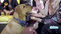 神犬小七tv 艾亮痛失小七KTV买醉 酒后吐真言感动丁涵 神犬小七电视剧