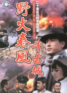 野火春风斗古城（1995）