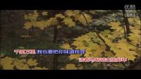 茶马古道 王莉ktv左