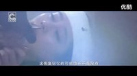 步步惊情MV《生命之花》正晓的前世今生