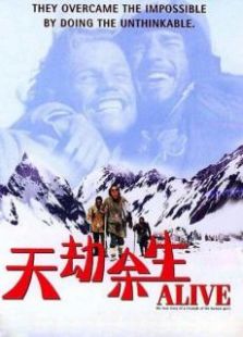 空难惊魂（1993）