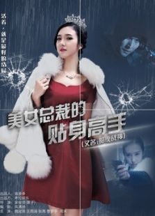 美女总裁的贴身高手