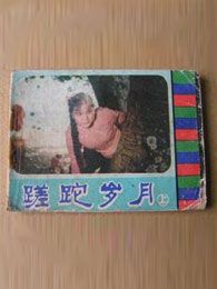 蹉跎岁月（1982）