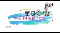 神犬奇兵7月15日起登陆山西卫视催泪来袭