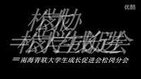 爱松岗·爱春节·I花街营销——松岗2012春节花街营销大赛