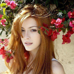 埃莲娜·萨汀Elena Satine