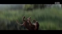 威尔·史密斯新作《重返地球》新片段 猛禽猎豹险象环生