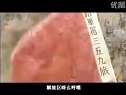 八路军 插曲 359旅大生产歌