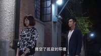 《何以笙箫默》插曲《孤独的总和》