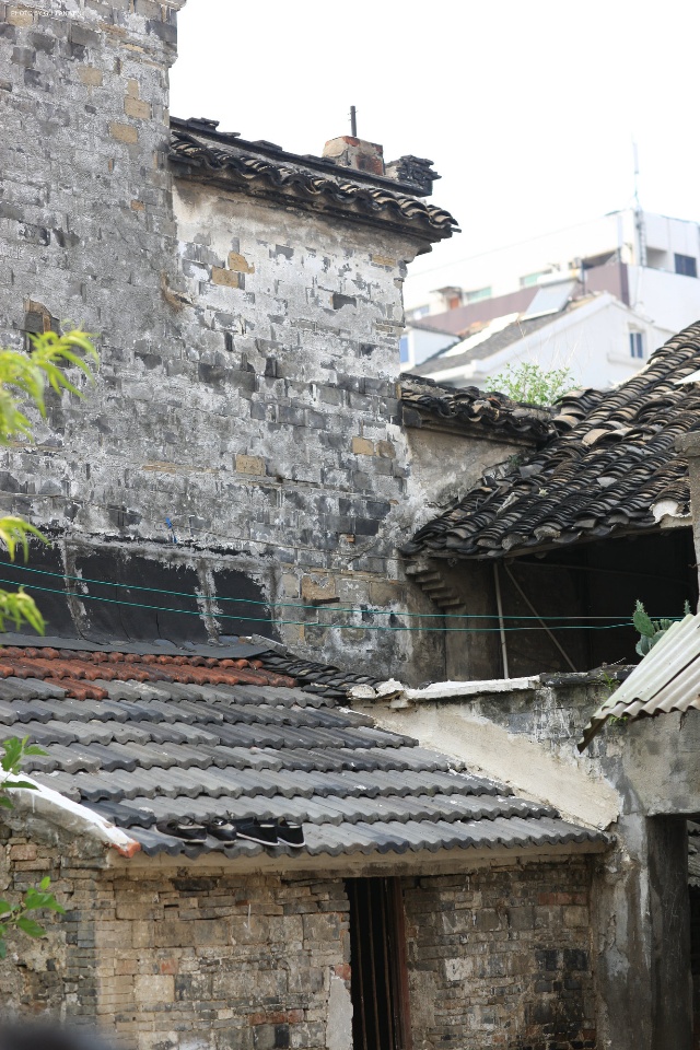 青果巷  热门图片