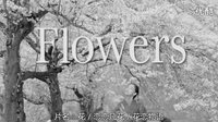 [日本] 花 / 恋恋凡花 / 花恋物语 (2010) Flowers