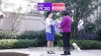 妻子的秘密TV版 第21集预告