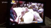 电视剧《战火青春》金鹰卡通版宣传片