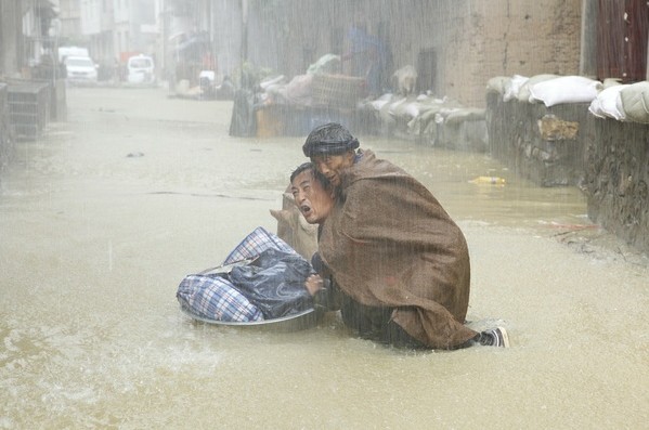 《雨中的树》剧照赏析