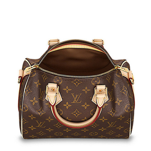 Louis Vuitton/路易威登 老花经典帆布Speedy25女士两用手提包