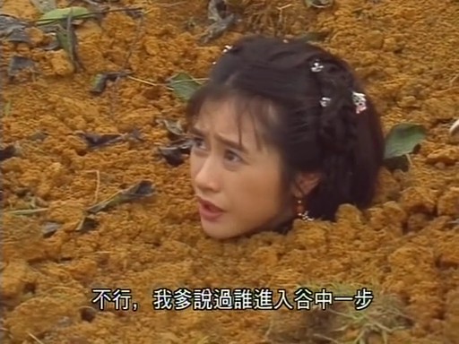 何美钿 1997 《天龙八部》饰 钟灵 9